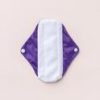 cloth-sanitary-panty-liner-grape-front_62x74@2x